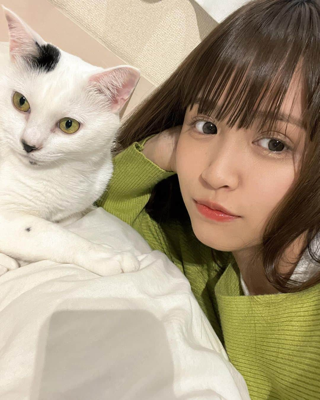 古野みうさんのインスタグラム写真 - (古野みうInstagram)「長生きしてね🐈 まだ若いけどさ。  #猫 #子猫 #ネコ #ねこ #고양이 #cat #猫のいる暮らし #多頭飼い#ねこすたぐらむ #にゃんすたぐらむ #ふわもこ部 #ねこ部 #persiancat #ilovemycat #photooftheday #catstagram #catlife #cats #catlovers #kitty #petstagram #instacat #meow #love #instagood #catoftheday」11月4日 23時39分 - umiushi.mium