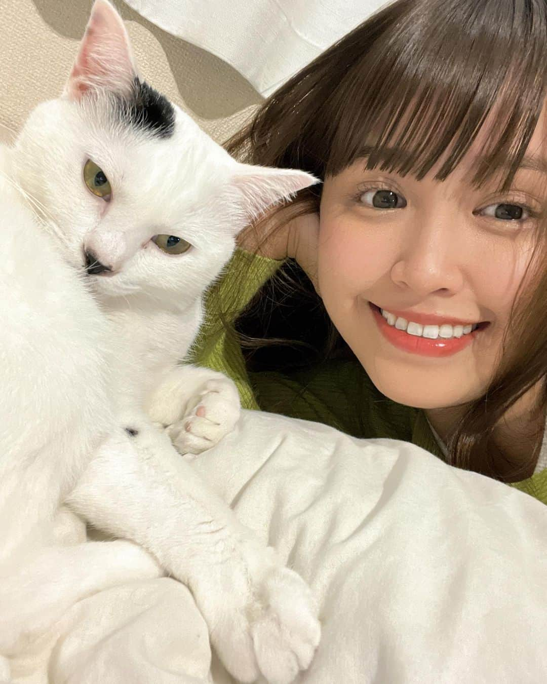 古野みうさんのインスタグラム写真 - (古野みうInstagram)「長生きしてね🐈 まだ若いけどさ。  #猫 #子猫 #ネコ #ねこ #고양이 #cat #猫のいる暮らし #多頭飼い#ねこすたぐらむ #にゃんすたぐらむ #ふわもこ部 #ねこ部 #persiancat #ilovemycat #photooftheday #catstagram #catlife #cats #catlovers #kitty #petstagram #instacat #meow #love #instagood #catoftheday」11月4日 23時39分 - umiushi.mium