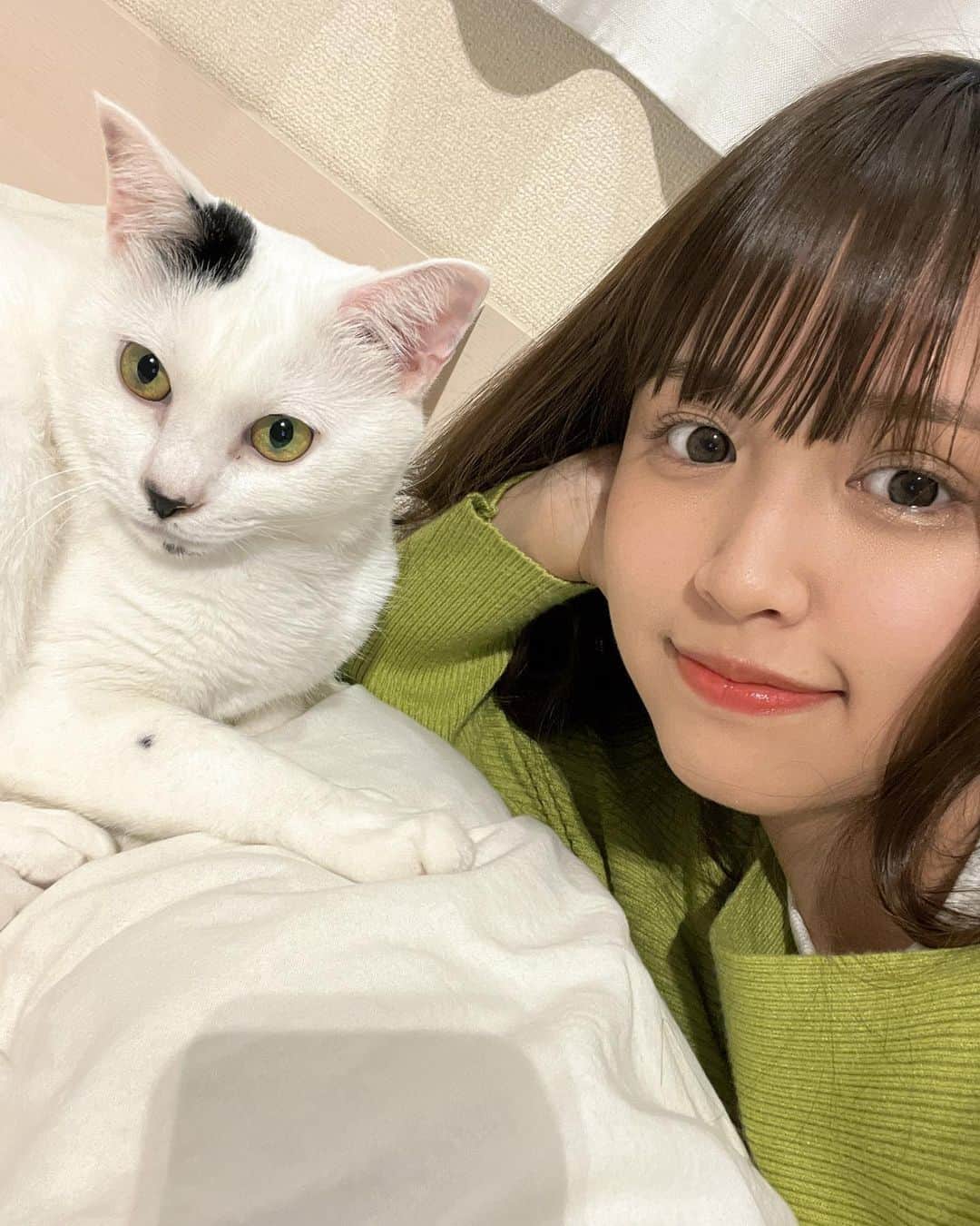 古野みうのインスタグラム：「長生きしてね🐈 まだ若いけどさ。  #猫 #子猫 #ネコ #ねこ #고양이 #cat #猫のいる暮らし #多頭飼い#ねこすたぐらむ #にゃんすたぐらむ #ふわもこ部 #ねこ部 #persiancat #ilovemycat #photooftheday #catstagram #catlife #cats #catlovers #kitty #petstagram #instacat #meow #love #instagood #catoftheday」