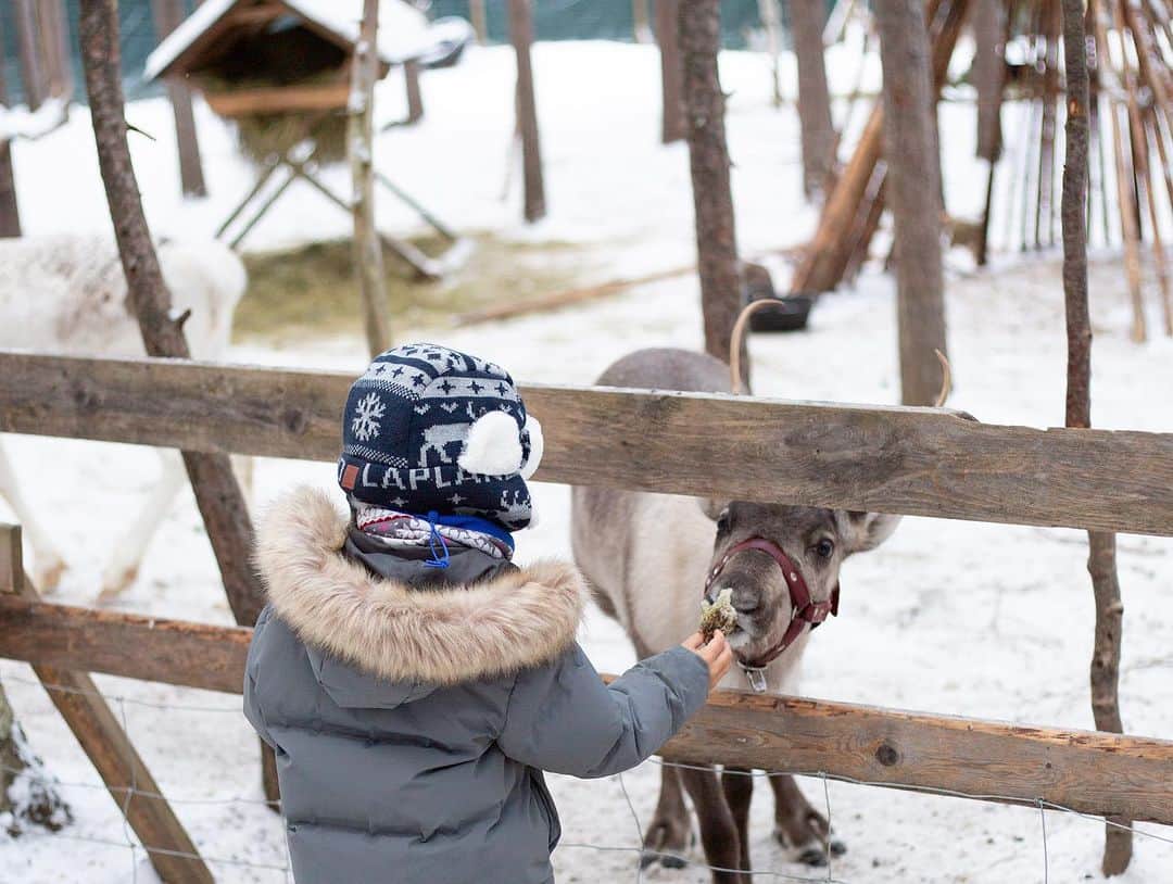 Carolineさんのインスタグラム写真 - (CarolineInstagram)「Pinch me ✨ On vit dans un rêve ici en Laponie ! Nourrir des rennes et se balader avec eux en forêt accompagnés de deux elfes… J’avoue j’avais la larme à l’oeil 🥲」11月4日 23時40分 - beauteactive