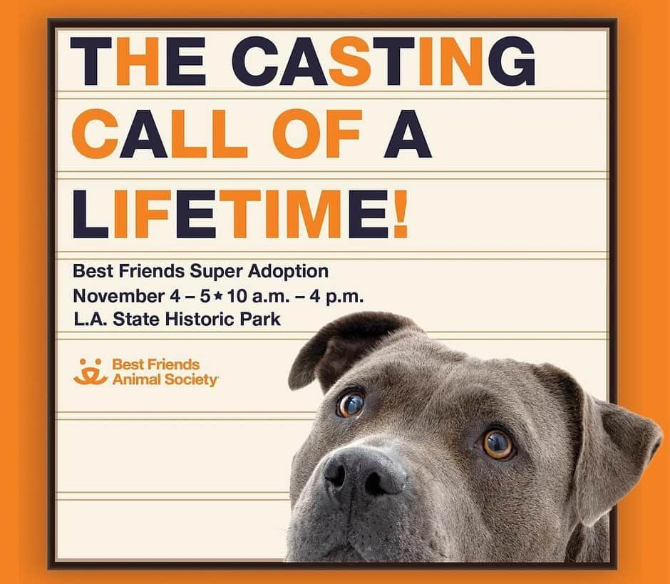 ダニー・トレホのインスタグラム：「Lights! Camera! Adoption! Best Friends Super Adoption is back and it's happening this weekend! There will be hundreds of adorable, superstar dogs and cats from dozens of local shelters and rescue groups waiting to be discovered. Now's your chance to find the perfect pet to play a leading role in your life as your new best friend! It's a super, life-saving event not to be missed - this Saturday and Sunday, November 4 and 5 from 10am-4pm at Los Angeles State Historic Park, 1245 N. Spring Street, in the heart of L.A.  To learn more, go to my *Link in Bio* #Nokill2025 #SaveThemAll #SuperAdoption」