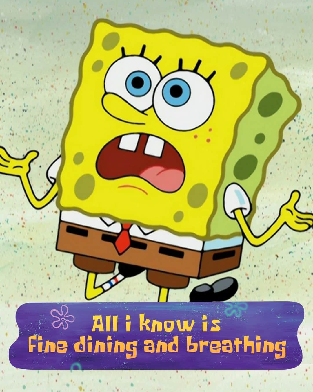 スポンジボブさんのインスタグラム写真 - (スポンジボブInstagram)「Tag someone who quotes SpongeBob just as much as you」11月5日 1時11分 - spongebob
