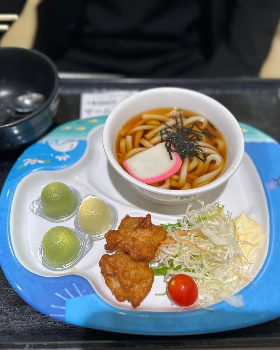 宮迫博之さんのインスタグラム写真 - (宮迫博之Instagram)「サービスエリアで小さめのうどんが食べたくて頼んだらこんなん来た。満53歳のミステイク。  美味しかった😋」11月5日 1時27分 - miyasako_hiroyuki