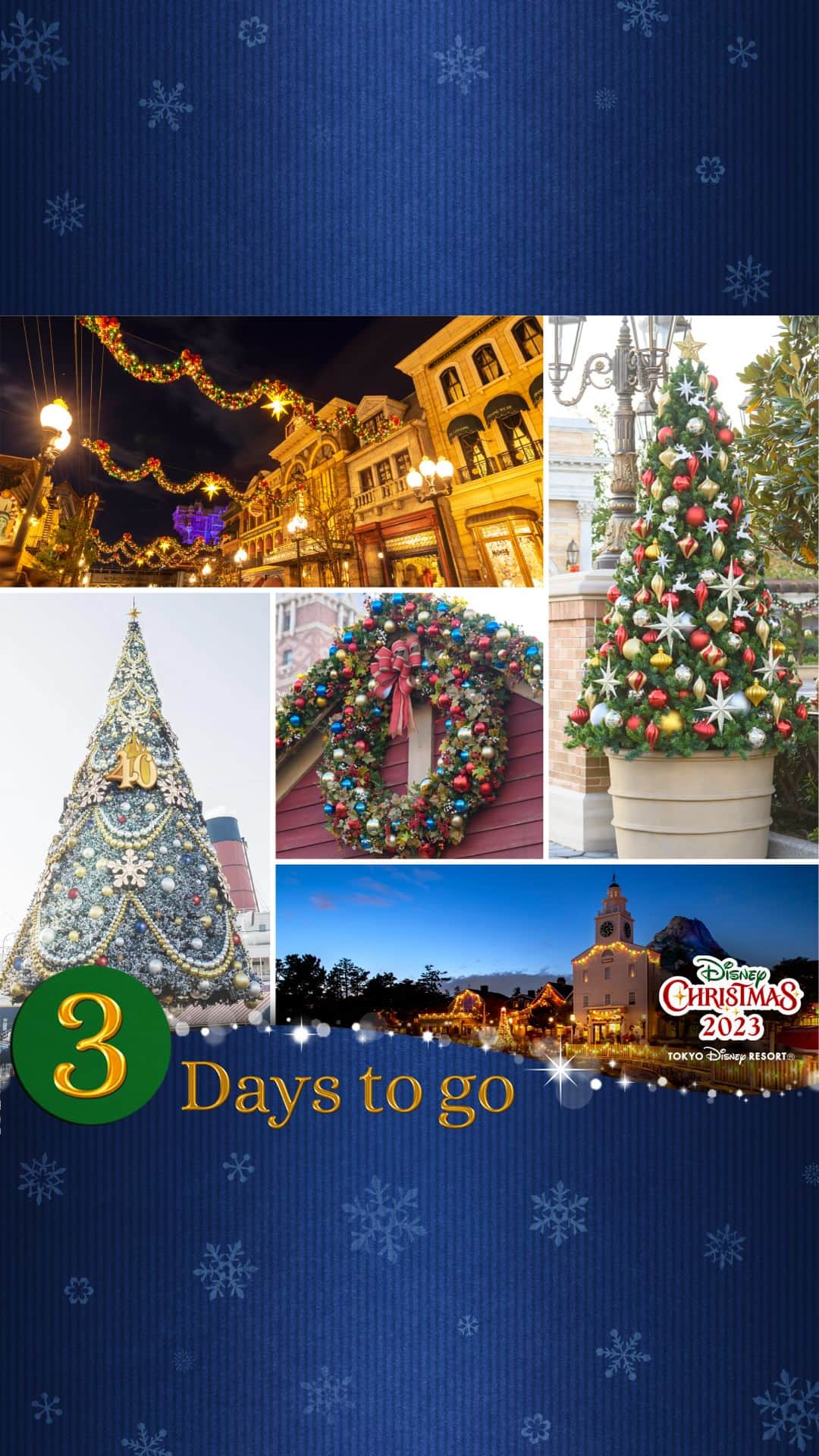 東京ディズニーリゾートのインスタグラム：「⁡ 「 #ディズニークリスマス 」の開催まで、あと3日🌟 ⁡ 東京ディズニーシーには、４年ぶりにクリスマスツリーが復活🎄 40周年のデザインが施されたクリスマスツリーは、夜になると光輝くイルミネーション演出も✨ ⁡ 華やかなデコレーションやきらびやかなイルミネーションをお楽しみください💖 ⁡ #東京ディズニーリゾート40周年 #東京ディズニーリゾート #東京ディズニーシー  #disneychristmas #tokyodisneyresort #tokyodisneysea」
