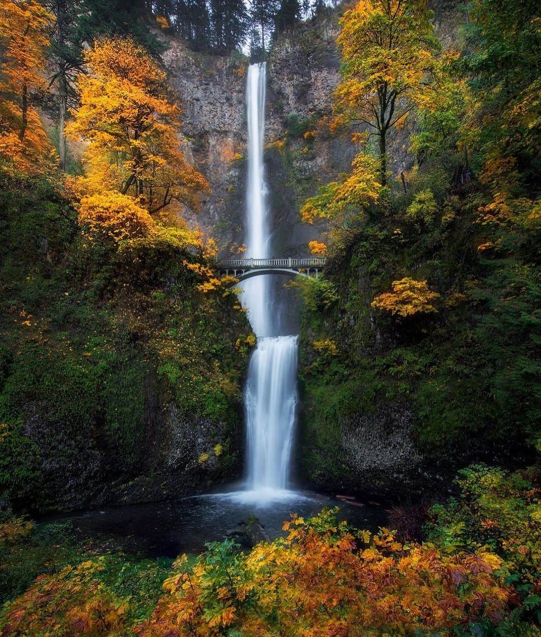 Portlandさんのインスタグラム写真 - (PortlandInstagram)「One of the most beautiful places on planet Earth during Autumn. 🍂  Located just 45 min from Portland, Multnomah Falls makes for a perfect day trip and photo opportunity.   📸 @jesse.brackenbury   #portland #oregon #outdoors #explore」11月5日 5時18分 - portland