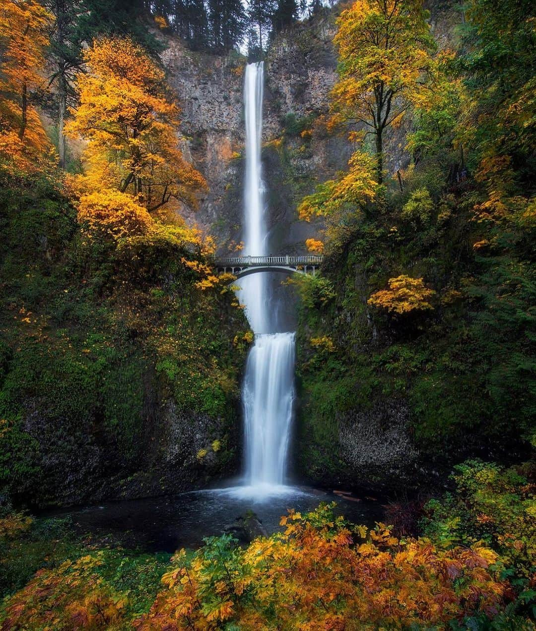 Portlandのインスタグラム：「One of the most beautiful places on planet Earth during Autumn. 🍂  Located just 45 min from Portland, Multnomah Falls makes for a perfect day trip and photo opportunity.   📸 @jesse.brackenbury   #portland #oregon #outdoors #explore」