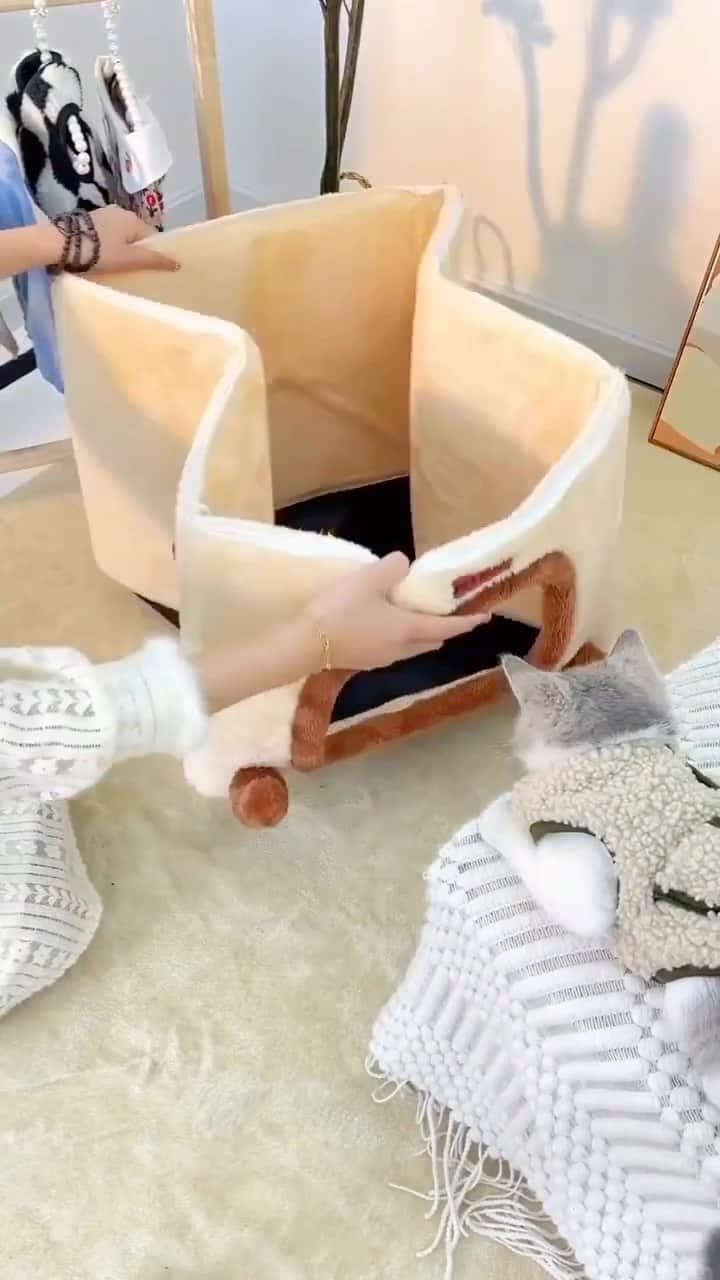 Cute Pets Dogs Catsのインスタグラム：「Get your Elegant Cat Condo 😻 Link in bio ❤️  #cats #kitty #cats #kittens」