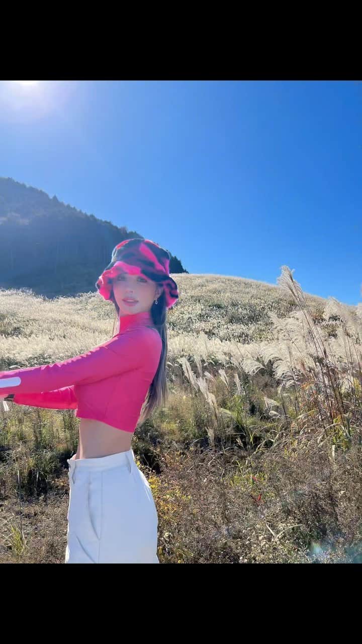 のインスタグラム：「Susuki grassland🌾 This is pampas grass that lives in Japan. Have you ever seen such a magnificent grassland? I haven't. There was an emotion that couldn't be conveyed in only video. Be sure to experience it when you come to Hakone.  すすきーーーー！！！ 人生ではじめてこんな壮大なすすきみた！！ すすきでしょ？と言わず箱根行った際は絶対見てほしい！動画じゃ伝わりきらない感動があるよ🥹 📌 仙石原すすき草原  #susuki #pampasgrass #grassland #hakone #仙石原すすき草原 #すすき #すすき草原 #箱根」