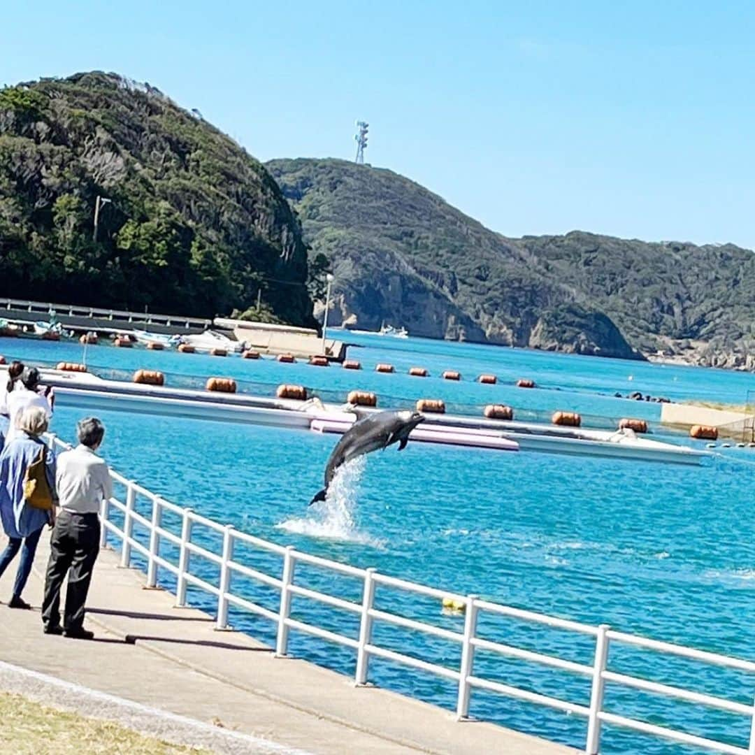 蛯原英里さんのインスタグラム写真 - (蛯原英里Instagram)「壱岐島3日目は最終日 イルカとの距離感が近い！ 「壱岐イルカパーク&リゾート」 @ikiirukapark へ  良い意味で、想像していた感じとちょっと違い イルカとの距離がとっても近い施設🐬  イルカが近寄って来てくれて 直に触れる事が出来るんです😆  これには子供達も大喜びでしたが イルカのご機嫌次第との事で…  こんな距離感！近！ でも、気長に待っていると 来た〜♡  イルカは身体をゴシゴシされるのが 好きらしく、来てくれたタイミングで みんな頑張ってゴシゴシしました😆  ここまでイルカと触れ合える施設ないと思う！ 目の前には大自然の中に広がる 遊具でも遊べたし最高！  本当に素晴らしい3日間でした 壱岐島、楽しかった〜！ また行きたい☺️  #壱岐島  #長崎  #イルカと遊べる  #イルカパーク  #距離近すぎ #🐬  #最高  #家族旅行  #family」11月5日 7時46分 - eriebihara