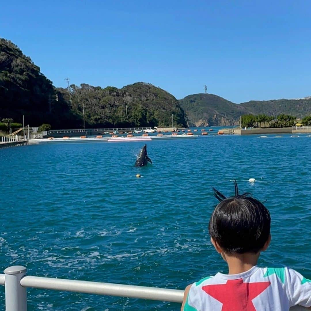 蛯原英里さんのインスタグラム写真 - (蛯原英里Instagram)「壱岐島3日目は最終日 イルカとの距離感が近い！ 「壱岐イルカパーク&リゾート」 @ikiirukapark へ  良い意味で、想像していた感じとちょっと違い イルカとの距離がとっても近い施設🐬  イルカが近寄って来てくれて 直に触れる事が出来るんです😆  これには子供達も大喜びでしたが イルカのご機嫌次第との事で…  こんな距離感！近！ でも、気長に待っていると 来た〜♡  イルカは身体をゴシゴシされるのが 好きらしく、来てくれたタイミングで みんな頑張ってゴシゴシしました😆  ここまでイルカと触れ合える施設ないと思う！ 目の前には大自然の中に広がる 遊具でも遊べたし最高！  本当に素晴らしい3日間でした 壱岐島、楽しかった〜！ また行きたい☺️  #壱岐島  #長崎  #イルカと遊べる  #イルカパーク  #距離近すぎ #🐬  #最高  #家族旅行  #family」11月5日 7時46分 - eriebihara