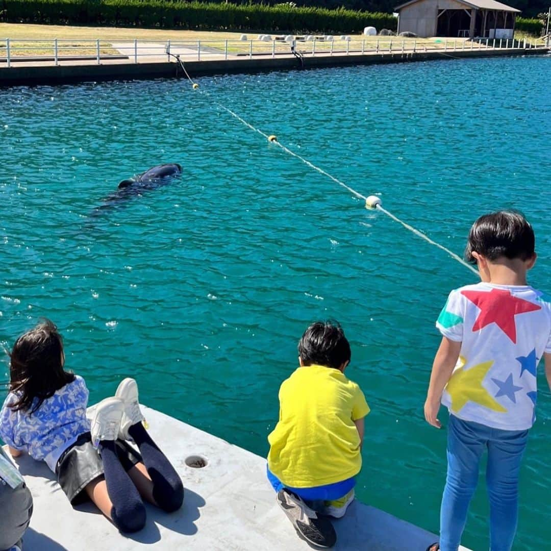 蛯原英里さんのインスタグラム写真 - (蛯原英里Instagram)「壱岐島3日目は最終日 イルカとの距離感が近い！ 「壱岐イルカパーク&リゾート」 @ikiirukapark へ  良い意味で、想像していた感じとちょっと違い イルカとの距離がとっても近い施設🐬  イルカが近寄って来てくれて 直に触れる事が出来るんです😆  これには子供達も大喜びでしたが イルカのご機嫌次第との事で…  こんな距離感！近！ でも、気長に待っていると 来た〜♡  イルカは身体をゴシゴシされるのが 好きらしく、来てくれたタイミングで みんな頑張ってゴシゴシしました😆  ここまでイルカと触れ合える施設ないと思う！ 目の前には大自然の中に広がる 遊具でも遊べたし最高！  本当に素晴らしい3日間でした 壱岐島、楽しかった〜！ また行きたい☺️  #壱岐島  #長崎  #イルカと遊べる  #イルカパーク  #距離近すぎ #🐬  #最高  #家族旅行  #family」11月5日 7時46分 - eriebihara