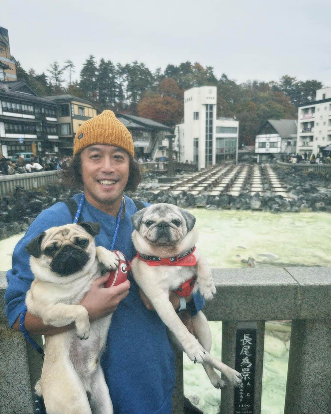 やついいちろうのインスタグラム：「今日のこぶしとこはだと私  草津  #pug #pugs #puglife #puglove #パグ #パグスタグラム #うちの犬がおじいちゃんになっちゃった」