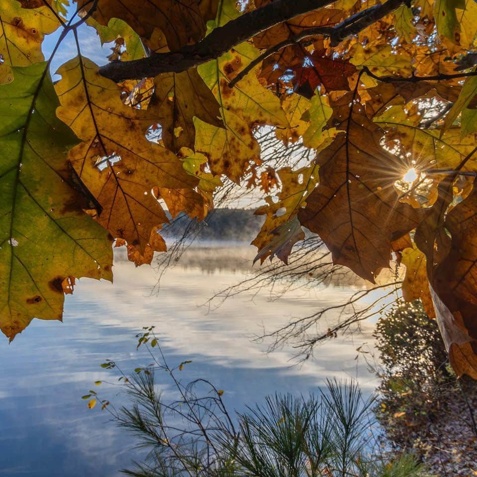 thephotosocietyさんのインスタグラム写真 - (thephotosocietyInstagram)「Photos by @TimLaman // Yesterday morning at Walden Pond.  It’s that time of the fall when it starts getting cool at night, and at sunrise there is beautiful mist on the pond because the water is so much warmer than the air.  When I’m not traveling the world on assignment, Walden Pond is one of my local nature outlets here in Massachusetts.  Follow @TimLaman to see more from my #WaldenPondCollection. #WaldenPond #Fallcolors #HDT #HenryDavidThoreau #Concord #Massachusetts #NewEngland #Nature」11月5日 8時55分 - thephotosociety