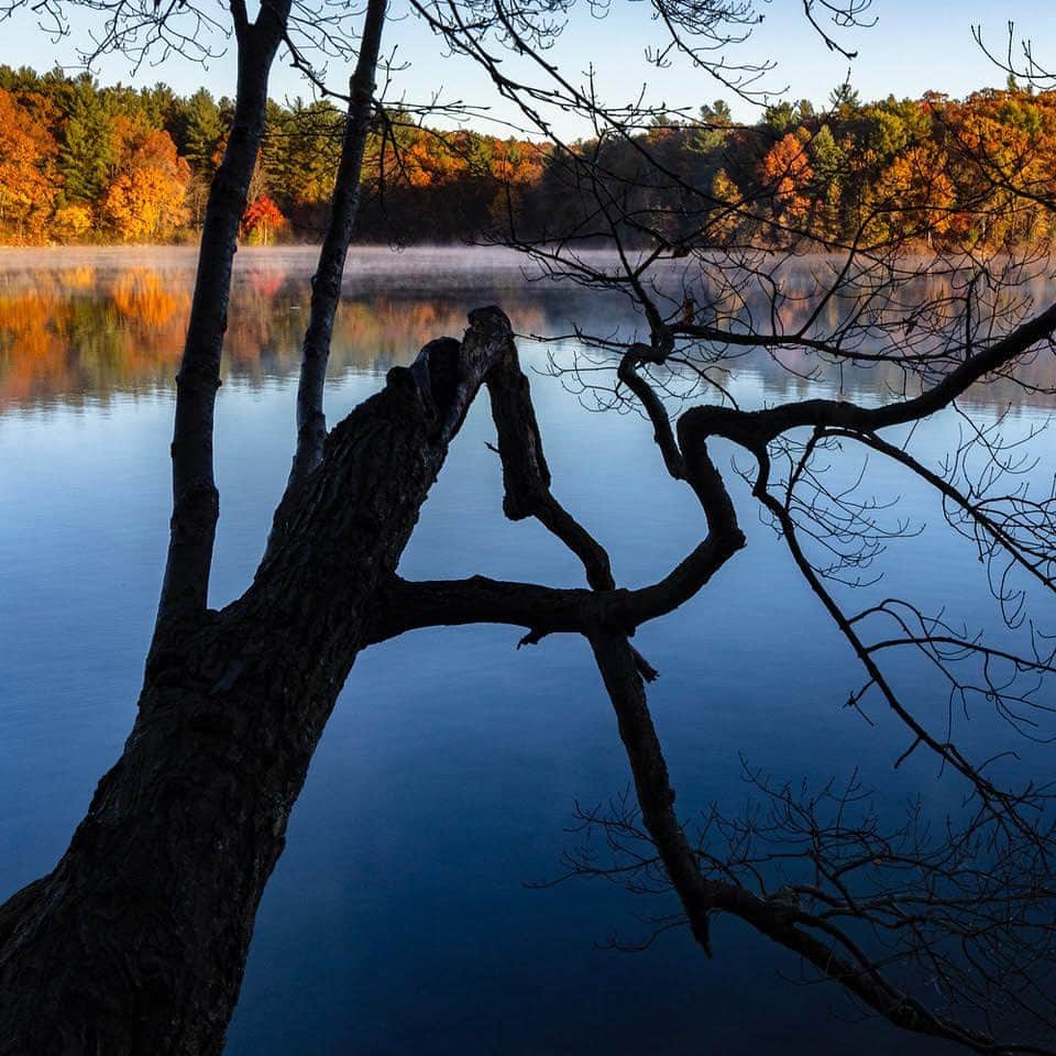 thephotosocietyさんのインスタグラム写真 - (thephotosocietyInstagram)「Photos by @TimLaman // Yesterday morning at Walden Pond.  It’s that time of the fall when it starts getting cool at night, and at sunrise there is beautiful mist on the pond because the water is so much warmer than the air.  When I’m not traveling the world on assignment, Walden Pond is one of my local nature outlets here in Massachusetts.  Follow @TimLaman to see more from my #WaldenPondCollection. #WaldenPond #Fallcolors #HDT #HenryDavidThoreau #Concord #Massachusetts #NewEngland #Nature」11月5日 8時55分 - thephotosociety