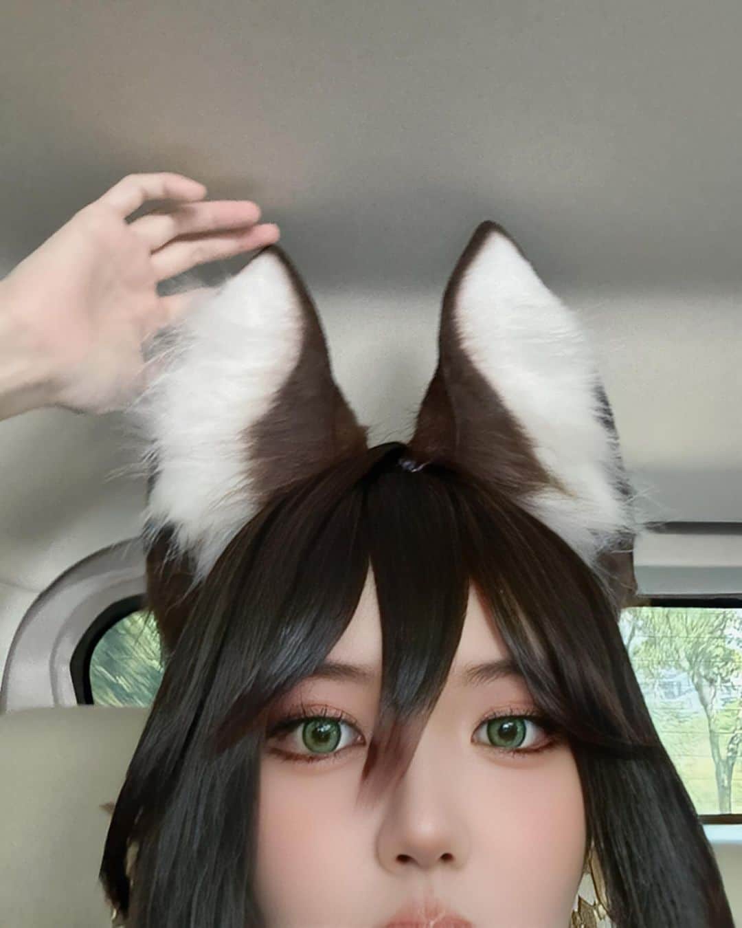 YingTzeさんのインスタグラム写真 - (YingTzeInstagram)「My fluffy ears are too tall for the car 🤣  Today I’ll be cosplaying Kafka @ Honkai : Star Rail x @lajuiceria Menara Hap Seng 2 from 3pm-4pm ! ✨💖🫰🏻 First 10 person gets a Polaroid from meeeee 💖🫰🏻  See you later ! ✨✨」11月5日 10時15分 - yingtze