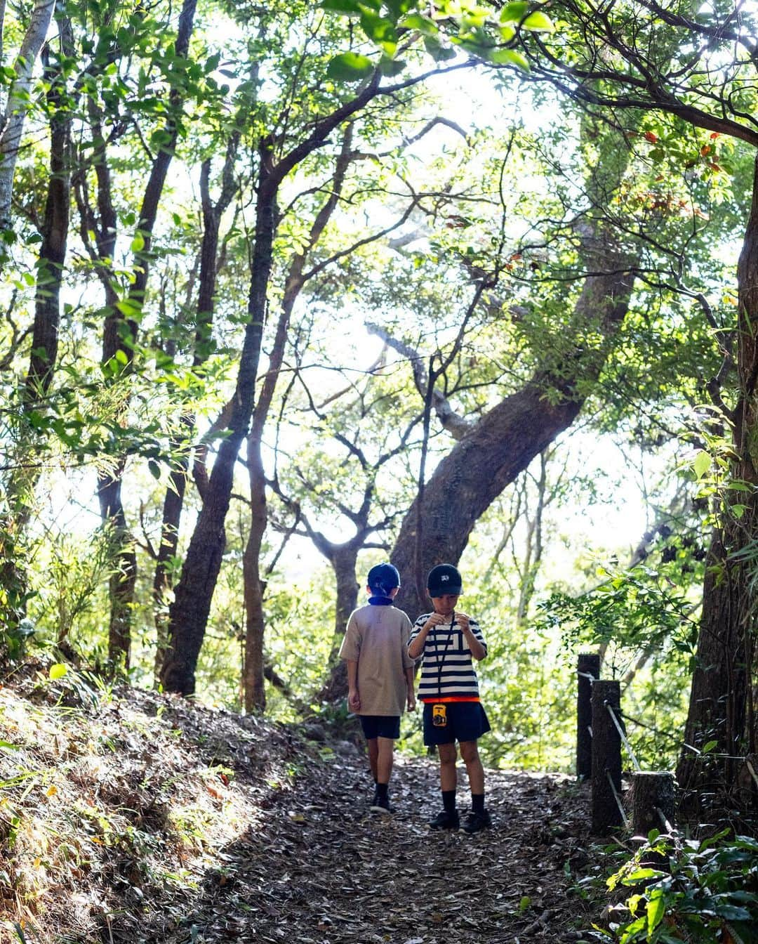 セソコマサユキさんのインスタグラム写真 - (セソコマサユキInstagram)「森へ。  #沖縄 #子育て #移住 #県民の森 #沖縄の秋」11月5日 10時43分 - sesokomasayuki