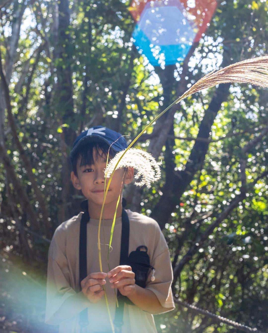 セソコマサユキのインスタグラム：「森へ。  #沖縄 #子育て #移住 #県民の森 #沖縄の秋」