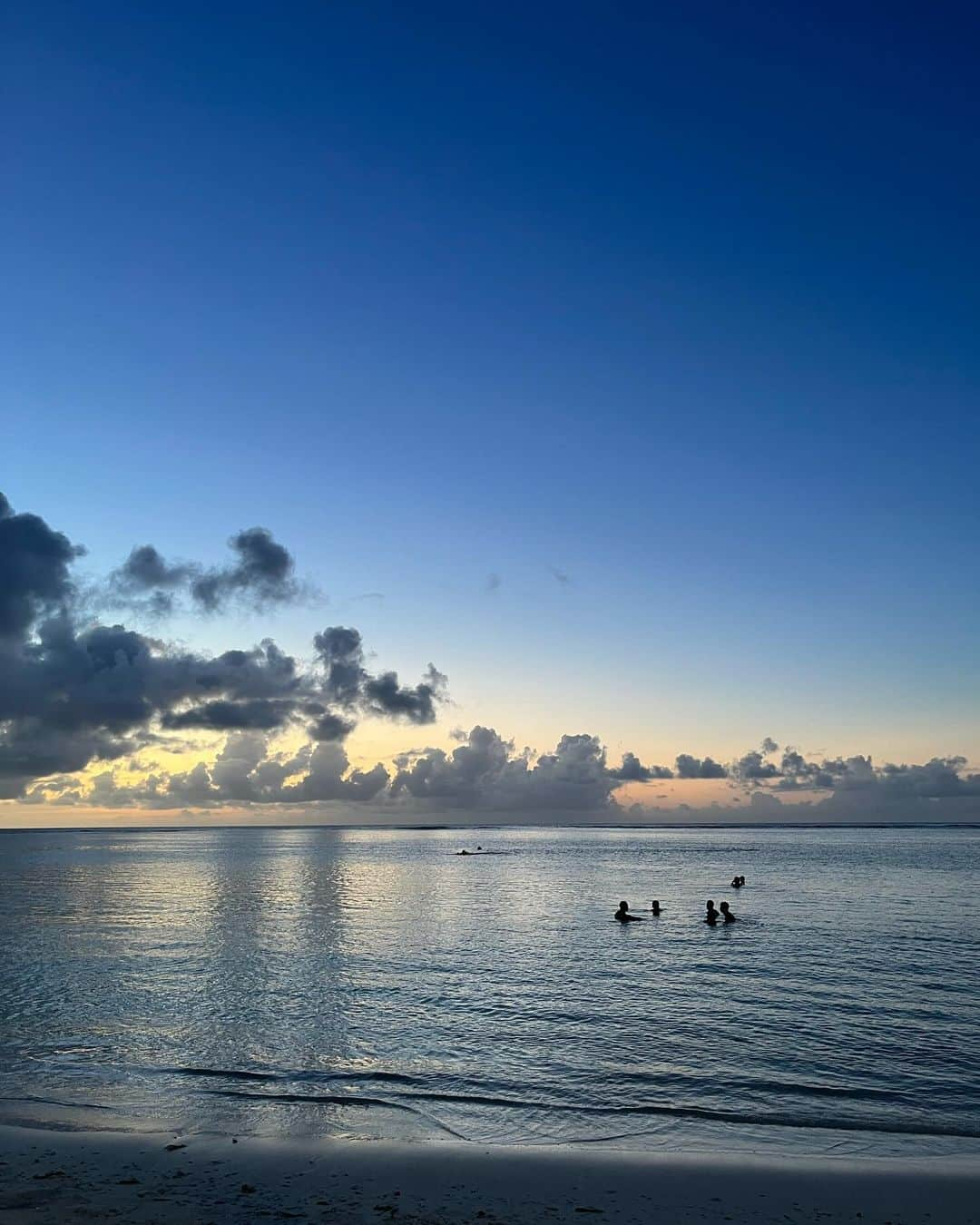 森川葵さんのインスタグラム写真 - (森川葵Instagram)「🌻🌻🐟🐟」11月5日 11時08分 - aoi_morikawa0617