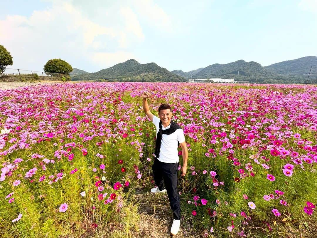 播戸竜二のインスタグラム：「『コスモスおばんざーい✊』 ・ これは凄い！ ・ 兵庫県たつの市のコスモス🌸 ・ 映えてる？（笑） ・ ・ #コスモス #綺麗 #おばんざーい✊」