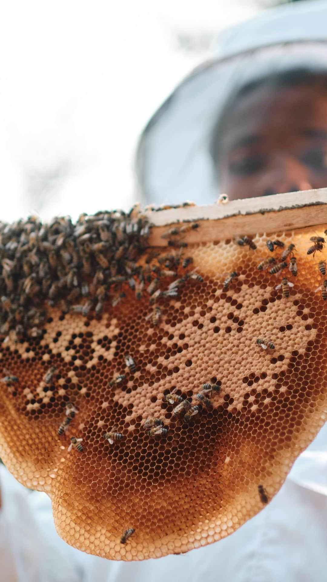 ゲランのインスタグラム：「A new path towards independence. With skills honed during an intense six-month training session in Gishwati-Mukura Landscape Biosphere Reserve, #WomenForBees’ latest group of 33 trainees are able to leverage resources generated from beekeeping as a practice beyond just the production of honey, propelling their communities forward.​ —— #GuerlainForBees #WomenForBees #Rwanda #Bees #SaveTheBees」