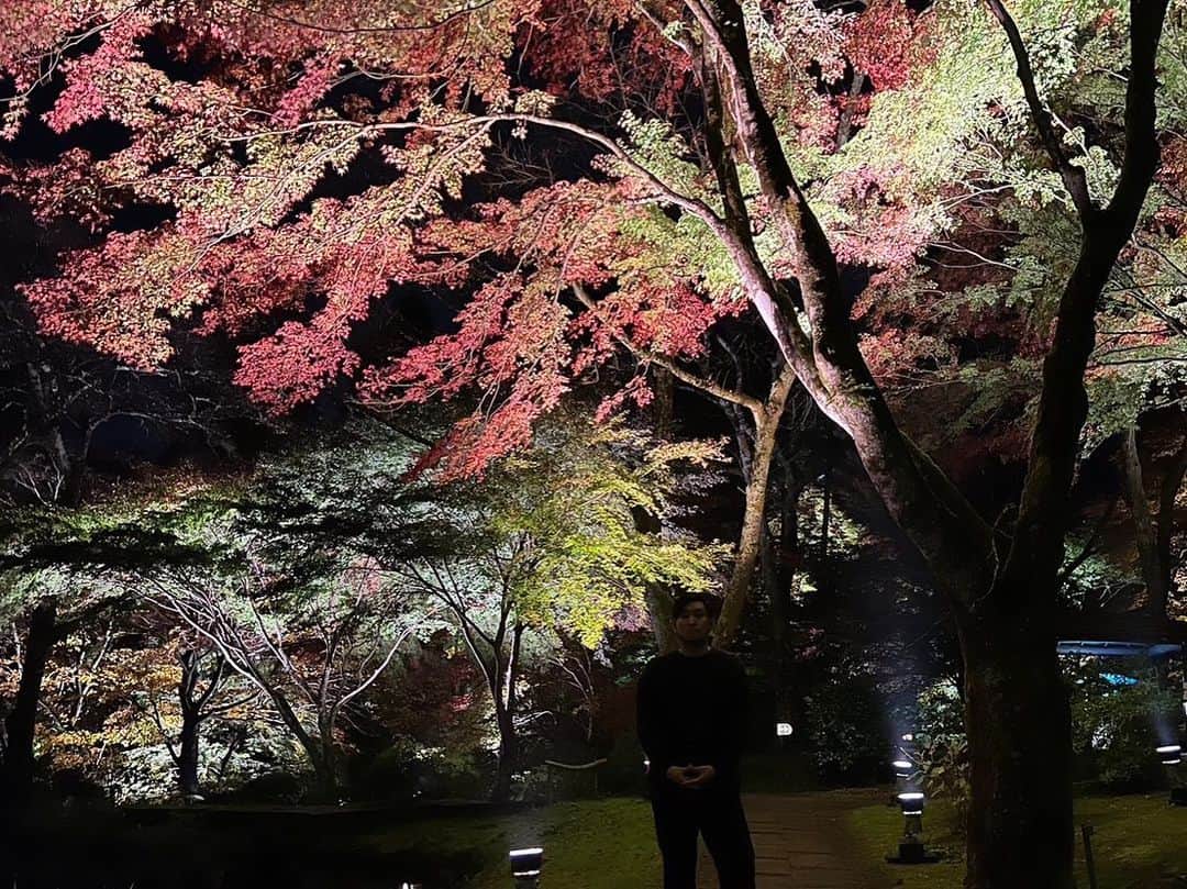たすくこまさんのインスタグラム写真 - (たすくこまInstagram)「奥さんと行ってきました🍁  #秋保ナイトミュージアム」11月5日 20時55分 - tasukukoma