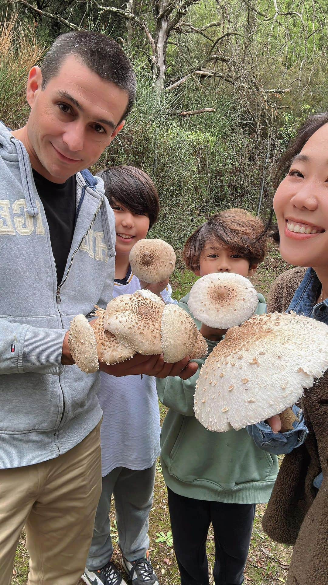 王君萍のインスタグラム：「🍂 小孩兩週假期要結束了，昨天帶他們出門走走做收尾😌  路上我們簡單吃漢堡王 去IKEA買好東西，再去探望老公的阿公阿嬤😊  這次和平常單純拜訪老人家不一樣 我們一起去採。野。菇！ 這季節在法國山上有很多野菇可以採， 我們採超多，收穫滿滿👏 每一朵都超大！有些比臉還大！ 🔸野菇名稱：coulemelle champignon（雨傘菇）  採菇路上還看到以前阿公的幫他做的樹屋 雖然現在已經年代太久遠都荒廢了， 還是裝滿了他們當時的回憶～  回到家，重頭戲就是要炒野菇！ 你們別看炒完的野菇醜醜的， 吃下去是美味的😘  真的非常滿足 自己採菇、煮菇再通通吃掉 感覺味道比在超市買的還要好吃❤️  PS. 法國在野菇季節有個貼心服務，只要你在山上採菇不知道怎麼分辨有沒有毒，大部分可以拿到藥局請他們幫忙看，也可以下載相關的APP或是買書，不怕不小心吃到毒菇中毒👌🏻」