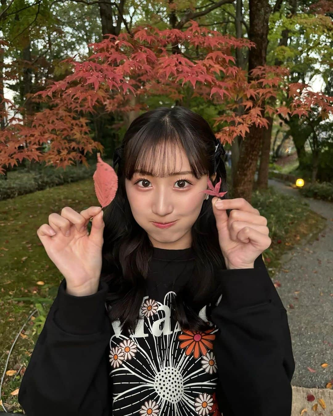 田辺真南葉さんのインスタグラム写真 - (田辺真南葉Instagram)「紅葉に行こうよう🍁」11月5日 21時08分 - manaha_tanabe