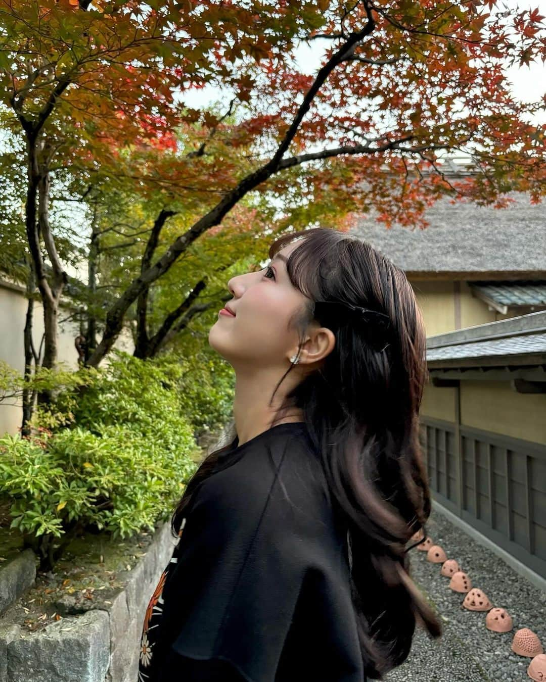 田辺真南葉さんのインスタグラム写真 - (田辺真南葉Instagram)「紅葉に行こうよう🍁」11月5日 21時08分 - manaha_tanabe