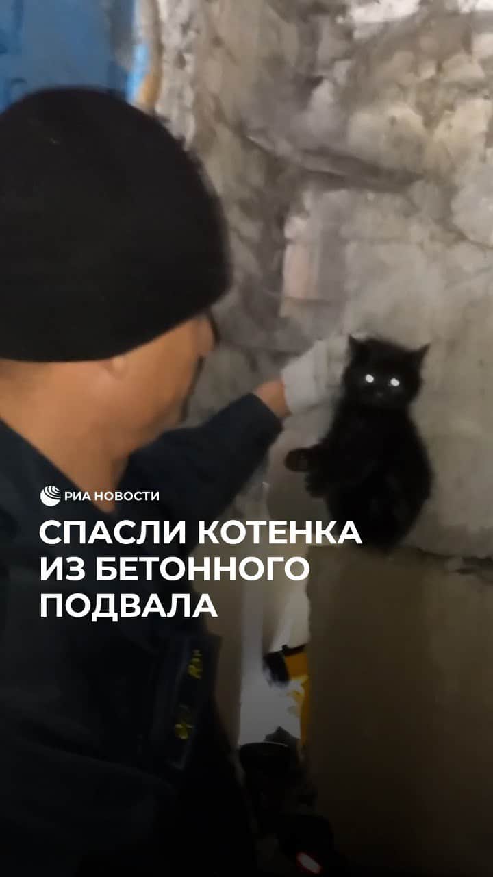 RIAノーボスチのインスタグラム：「В ЕАО спасли котенка из бетонной кладки подвала. Малыш не смог выбраться самостоятельно и жалобно маяукал. Местные жители услышали его плач и вызвали специалистов. Спасатели включили запись голоса мамы-кошки и выманили малыша на свет.」