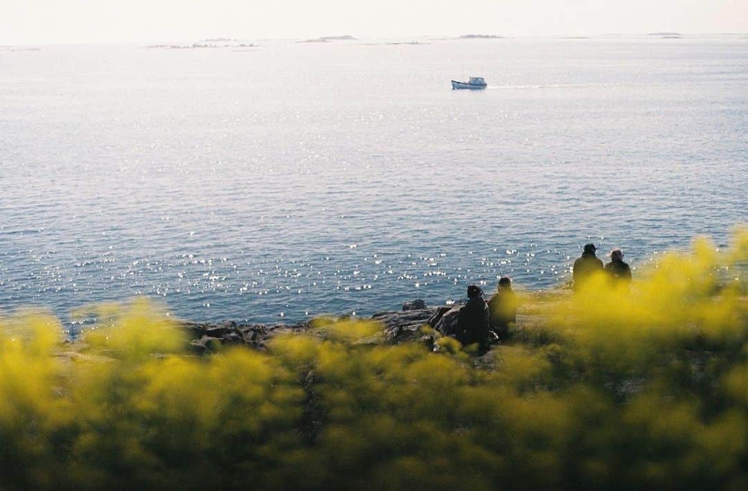 平岡佐智男さんのインスタグラム写真 - (平岡佐智男Instagram)「北欧新婚旅行記21（北欧カフェ巡り7）：世界遺産スオメンリンナ島はおすすめだ①  フィンランドの世界遺産「スオメンリンナ島」はおすすめだ。 僕はこの新婚旅行に行くまでは知らなかったし、行くかどうかもどうしよっかなという感じだったが、いまから行く方にはお勧めしたい。 それぐらい綺麗な島だった。  スオメリンナはヘルシンキのオールドマーケット広場より出ているフェリーに乗って15分で行けるとても近い世界遺産だ。 我々はヒエタラハティ市場のフリーマーケットで購入したカップをアパートに置いてスオメンリンナ島へ向かった。  このスオメンリンナ島へはフェリーで行くのだが、なんと何回も登場している1日乗車券AB券でフェリーも乗れてしまう。 マリメッコ本社にも、アアルト邸にも、スオメンリンナ島にもAB券でいける。AB券は最強なのだ。  フェリーはオールドマーケットの船が止まってそうなところに行くと乗れるのでそんなに難しくはなかったが、思っているより人でパンパンになるから座りたい人は早めに行った方がいい。 階段とか座れるとこには座っとこみたいな雰囲気になるぐらい混む。  我々のように観光で来ている人もいたが、地元の人がピクニック的な感じで来ている様な雰囲気もあった。 途中で見える家がぽつんとある小島が見えたが、サウナで有名なとこらしい。 あいにく妻も僕もサウナに全く興味がなかったので、住んでる人買い物とかどうしてんのかな？という感想しか出てこなかった。 　  到着すると何軒かカフェやインフォメーションなどの建物はあるがほぼ原っぱだった。 僕たちは妻の作ってくれたどでかいサンドイッチを持ってきていたので、スオメンリンナ島にあるCafe Vanillaで飲み物を買ってそのあたりの原っぱで昼ごはんを食べることにした。  　　 Cafe Vanillaは可愛い外観で、美味しそうなケーキが並び、店員さんはカフェラテでラテアートをしてくれようと頑張ってくれた。 そういえばフィンランドに来てあまりラテアートしてくれるカフェが少ない事に気づいて、そう言う文化なんじゃないか！？と妻に言おうとしたが、そもそもフィンランドに来てほぼラテを注文していないことにも同時に気がついて言うのをやめた。危ないところだった。  むしろFAZERカフェとCafeVanillaでしかラテ注文してなくて、どっちもラテアートしてくれてたので2/2でしてくれてた。 むしろ盛んなのかもしれない、ごめんなさいという気持ちだ！  つづく  ーーーーーーーーーーーーーーーーーーーー  SACHIOPIA COFFEE 毎週月曜火曜8:00-21:00 東京都武蔵野市吉祥寺南町1-17-10　F＆Ｗビル１階2号室  #旅行 #新婚旅行 #フィンランド #旅行記 #北欧」11月5日 21時15分 - sachio_coffeeforme
