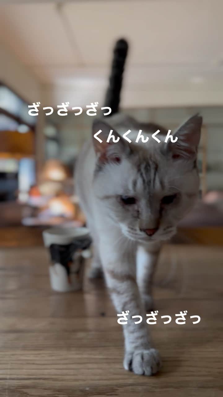 唐津裕美のインスタグラム