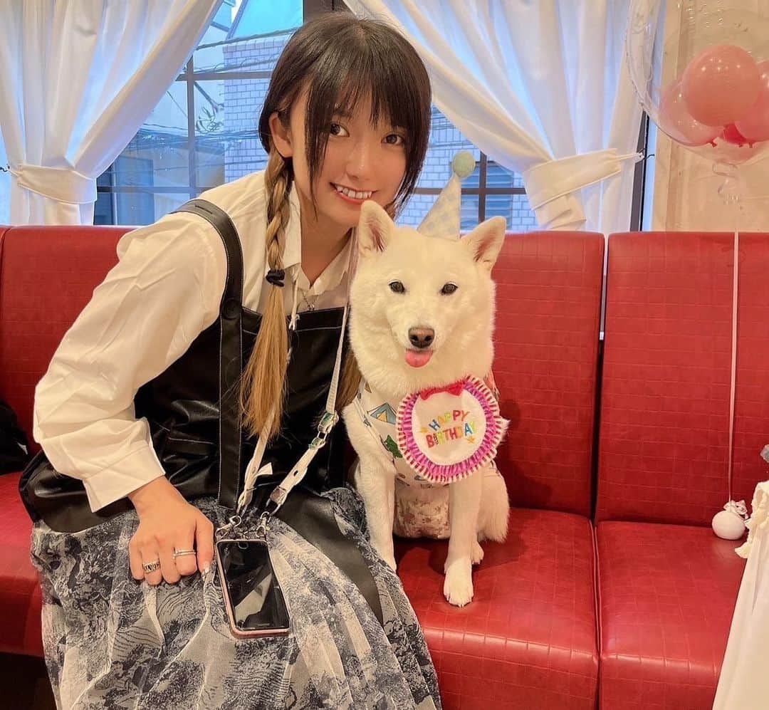加藤あやのさんのインスタグラム写真 - (加藤あやのInstagram)「こまこ3才birthday みっちゃん、一緒にお祝いしてくれてありがとう😚💛✨  #愛犬 #お誕生日 #お祝い #dogcafe」11月5日 21時23分 - ayano_kato929