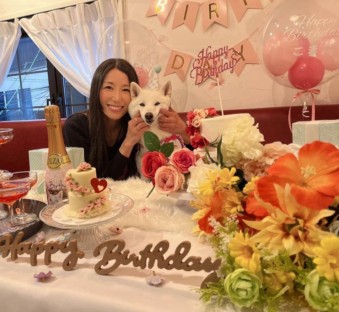 加藤あやののインスタグラム：「こまこ3才birthday みっちゃん、一緒にお祝いしてくれてありがとう😚💛✨  #愛犬 #お誕生日 #お祝い #dogcafe」