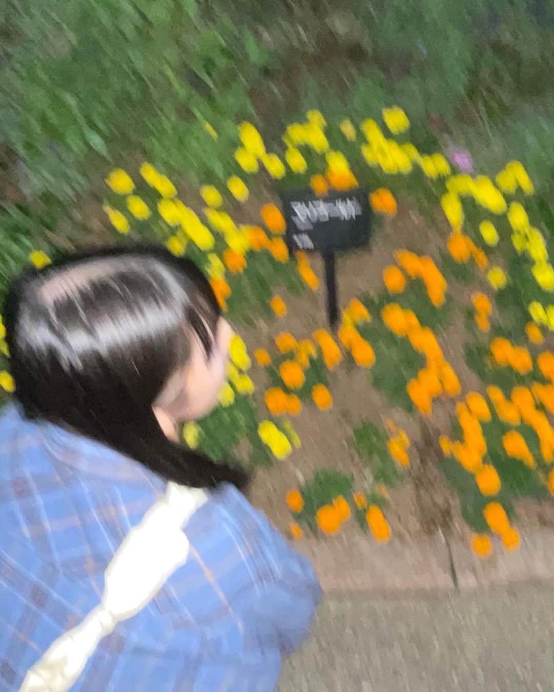 井上玲音のインスタグラム：「・ ・ マリーゴールド  #井上玲音」