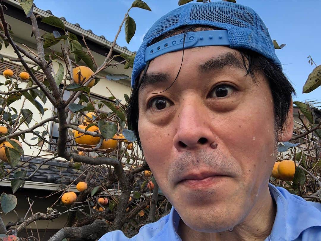 金剛地武志のインスタグラム：「稀代の親不孝息子による年に数回の親孝行タイム。今年は410個。茹でピーでお疲れ様。」
