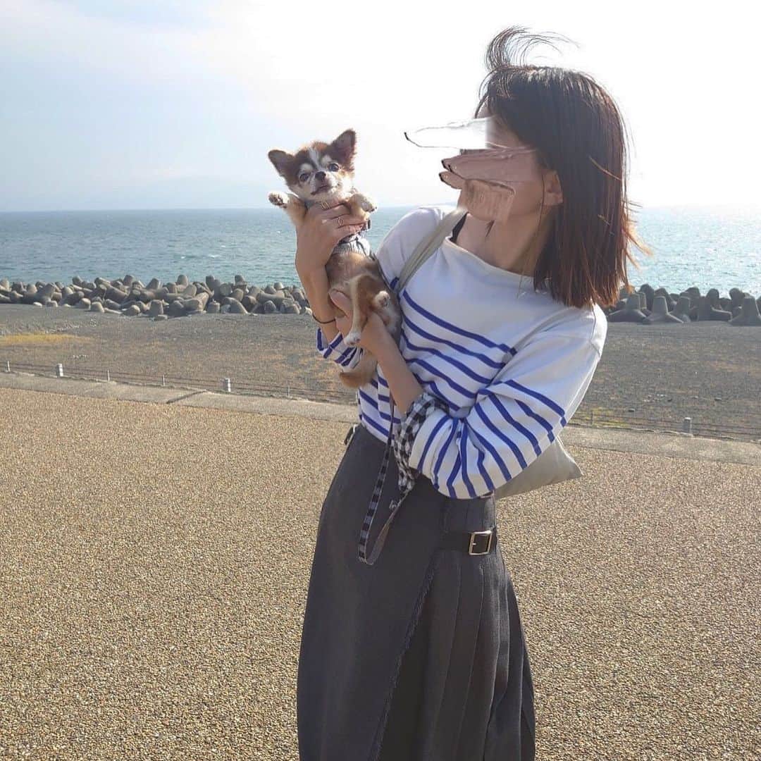 kotaro45さんのインスタグラム写真 - (kotaro45Instagram)「2023.11.5 (日)  今日は海を見ながら ご飯食べて散歩して カフェでお茶して 色んなワンちゃんや お姉さんと触れ合って 刺激的な1日でしたよ♡  #コタとおでかけ」11月5日 21時32分 - kotaro45