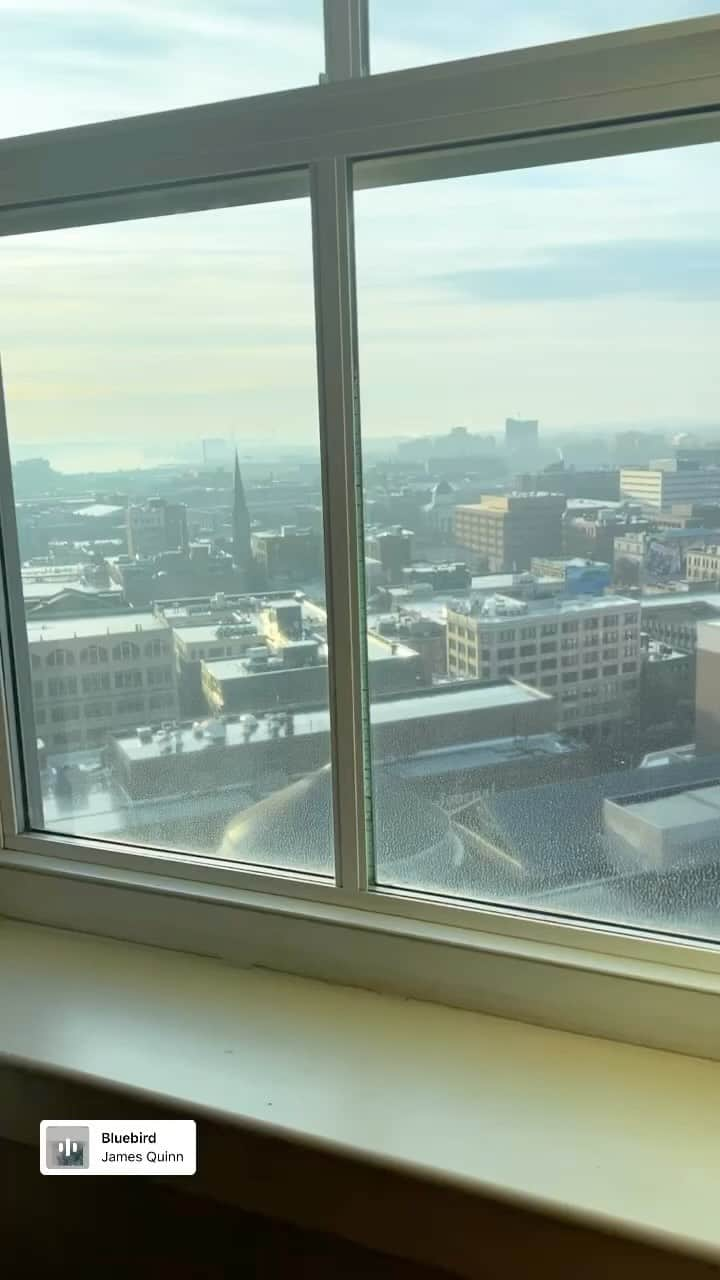 エヴァンジェリン・リリーのインスタグラム：「Good morning, #Providence」