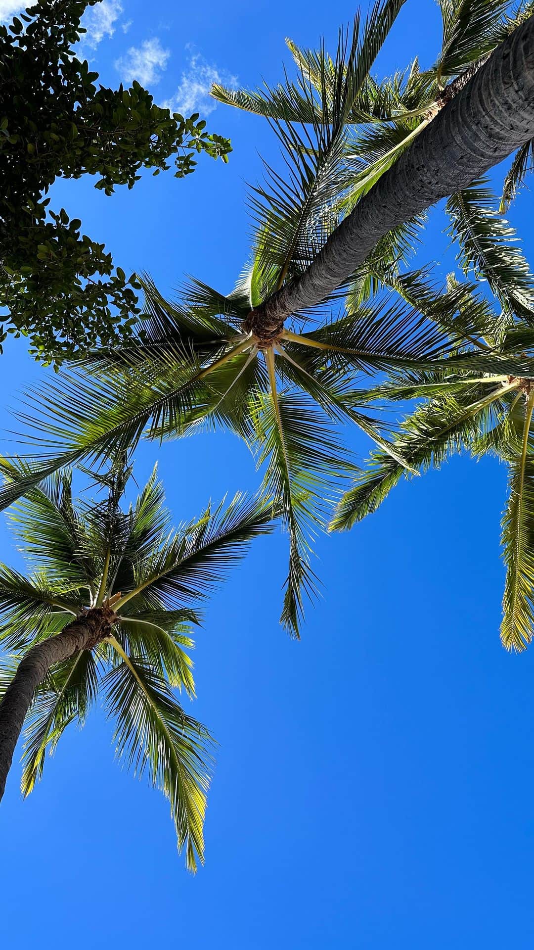 小池美由のインスタグラム：「Hawaii🏝️🥥🌺  楽しみな日に限ってニキビ 小池あるある🙃  #hawaii #trip」