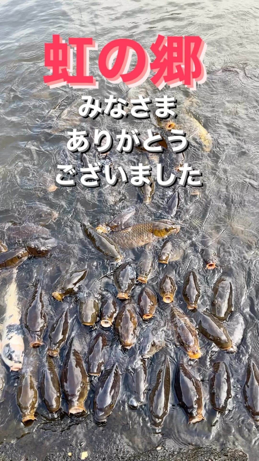 野島健児のインスタグラム