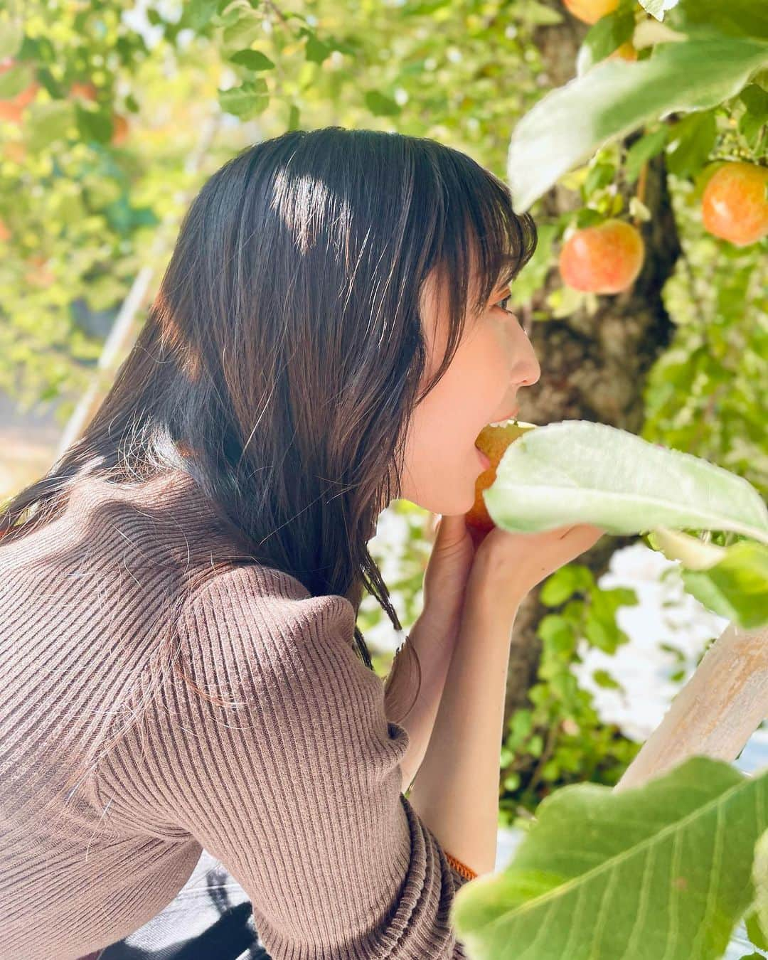 段原瑠々さんのインスタグラム写真 - (段原瑠々Instagram)「🍎  りんご狩り行ってきた☺️  いっぱい食べたよ〜🍎    #juicejuice #段原瑠々 #りんご狩り」11月5日 21時53分 - ruru_dambara.official