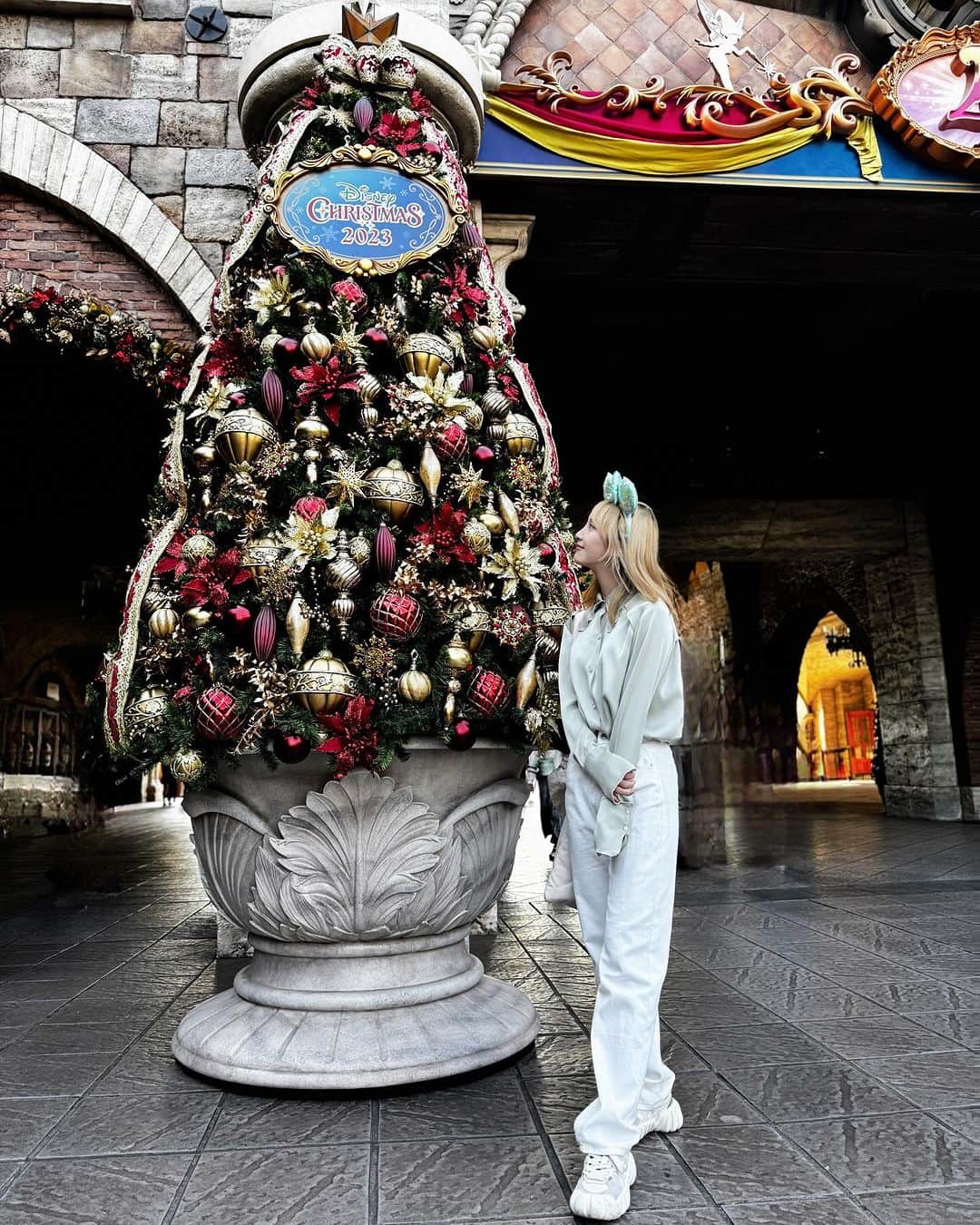 のインスタグラム：「Disney Sea🌋 この日はたくさんのキャラクターに会えて幸せでした。 1人インパークだったので、キャストさんが写真撮ってくれました😭」