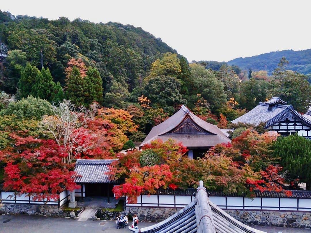 会田幸恵のインスタグラム：「南禅寺は紅葉が始まっていて綺麗です🍁」