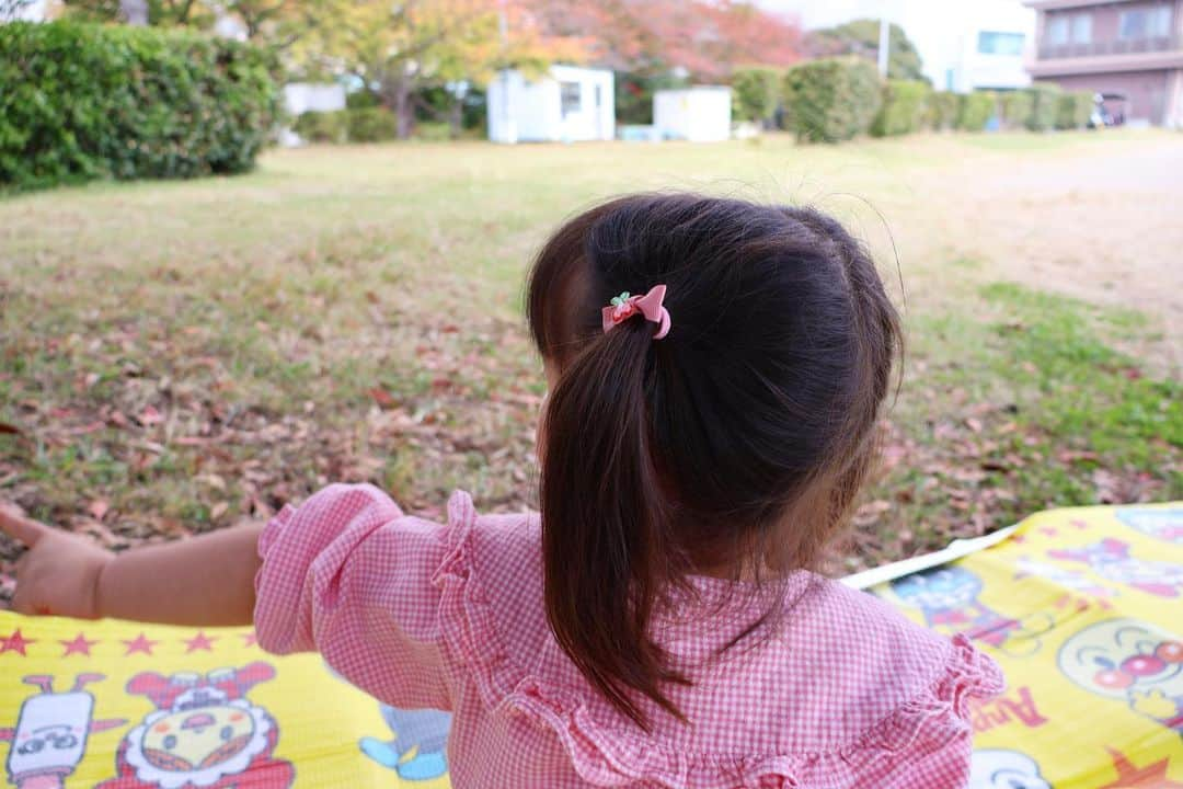 真野淑實さんのインスタグラム写真 - (真野淑實Instagram)「🍊  三連休、最終日🌿 みかん狩りや、親子防災教室からのピクニック、習い事…と 家族でたっぷり満喫しました。  以前、メロンの時期に取材させて頂いた 伊豆フルーツパークでは、みかんの時期に入り みかん狩りができます🍊  webでサクッと予約できるので 思い立った時に、気軽に行くことができるのが 子連れにはありがたいです🥰  ちなみに、このみかん狩りに、釜飯ランチや 浜焼き食べ放題のランチプランがつけられるコースも オススメです！（取材では釜飯ランチを頂き あまりの美味しさに仕事を忘れました…）  さて、今日は今から夜まで浜松で司会のお仕事！ 実は浜松に降りるのは初めて… 頑張ってきます🎤  #伊豆フルーツパーク #みかん狩り #伊豆観光 #三島観光 #静岡観光 #親子旅  #司会 #アナウンサー #リポーター」11月5日 13時15分 - rie_mano