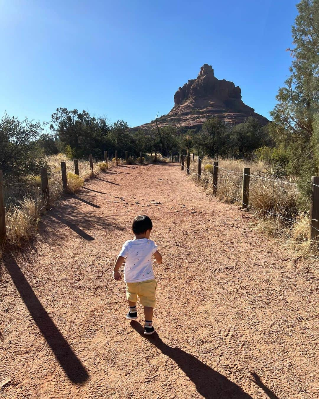 大出千尋さんのインスタグラム写真 - (大出千尋Instagram)「Sedona🌵」11月5日 13時30分 - chihiro_1208_offi