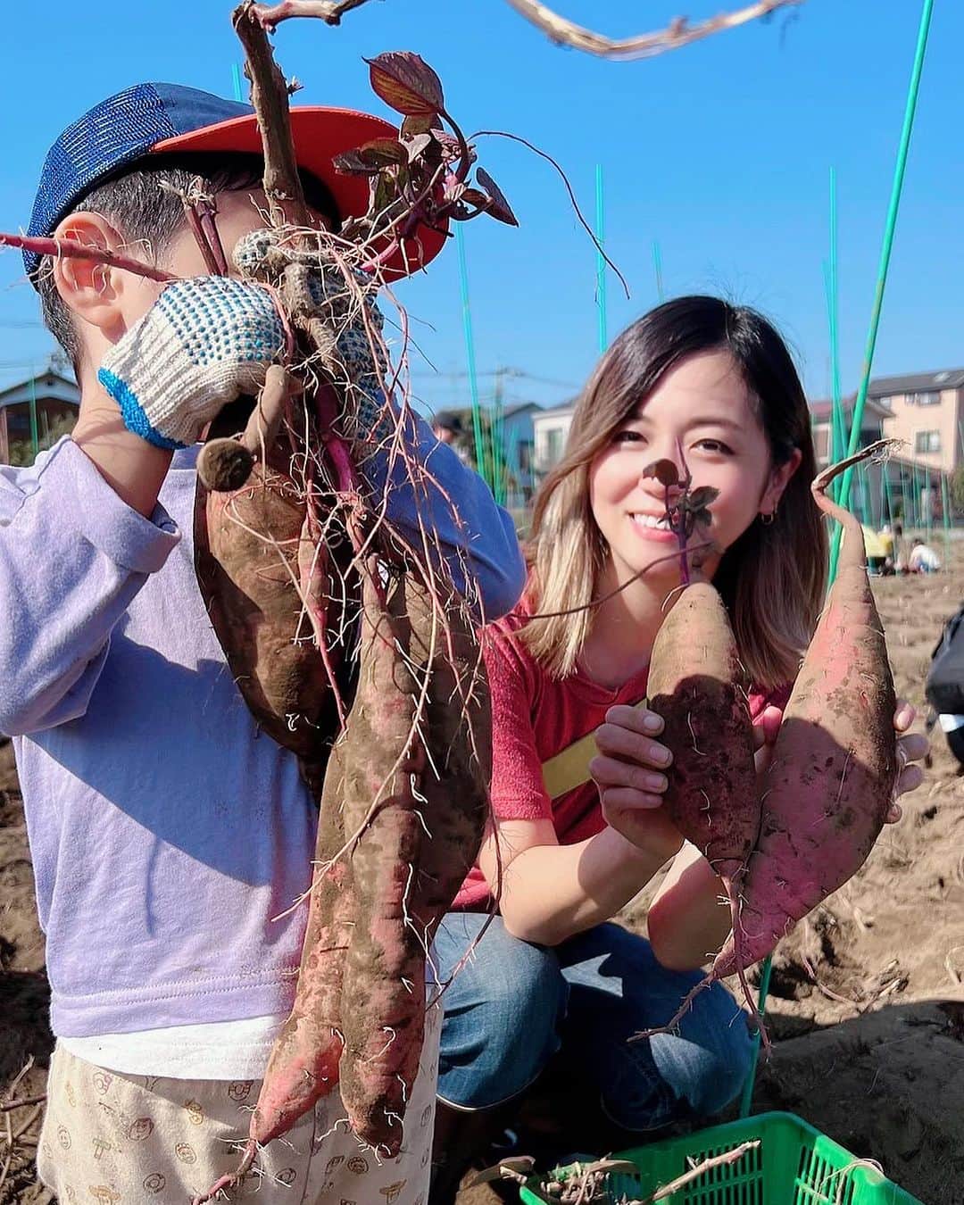 星村麻衣のインスタグラム：「芋掘り＆大根収穫体験が東京で出来るなんて🙌🍠 大根めちゃでかかった😂 子供はもちろん大人も楽しすぎました😆 @shiraishifarm さんありがとうございました✨️ #芋掘り #収穫体験 #白石農園」
