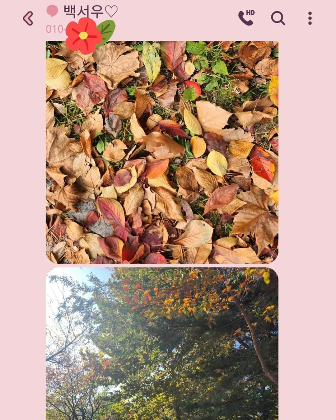 チョン・シアさんのインスタグラム写真 - (チョン・シアInstagram)「너가 보내준 가을🍁🍂  엄마! 오늘은 별 위를 걸었어~  #서우공주_」11月5日 14時08分 - jung.sia