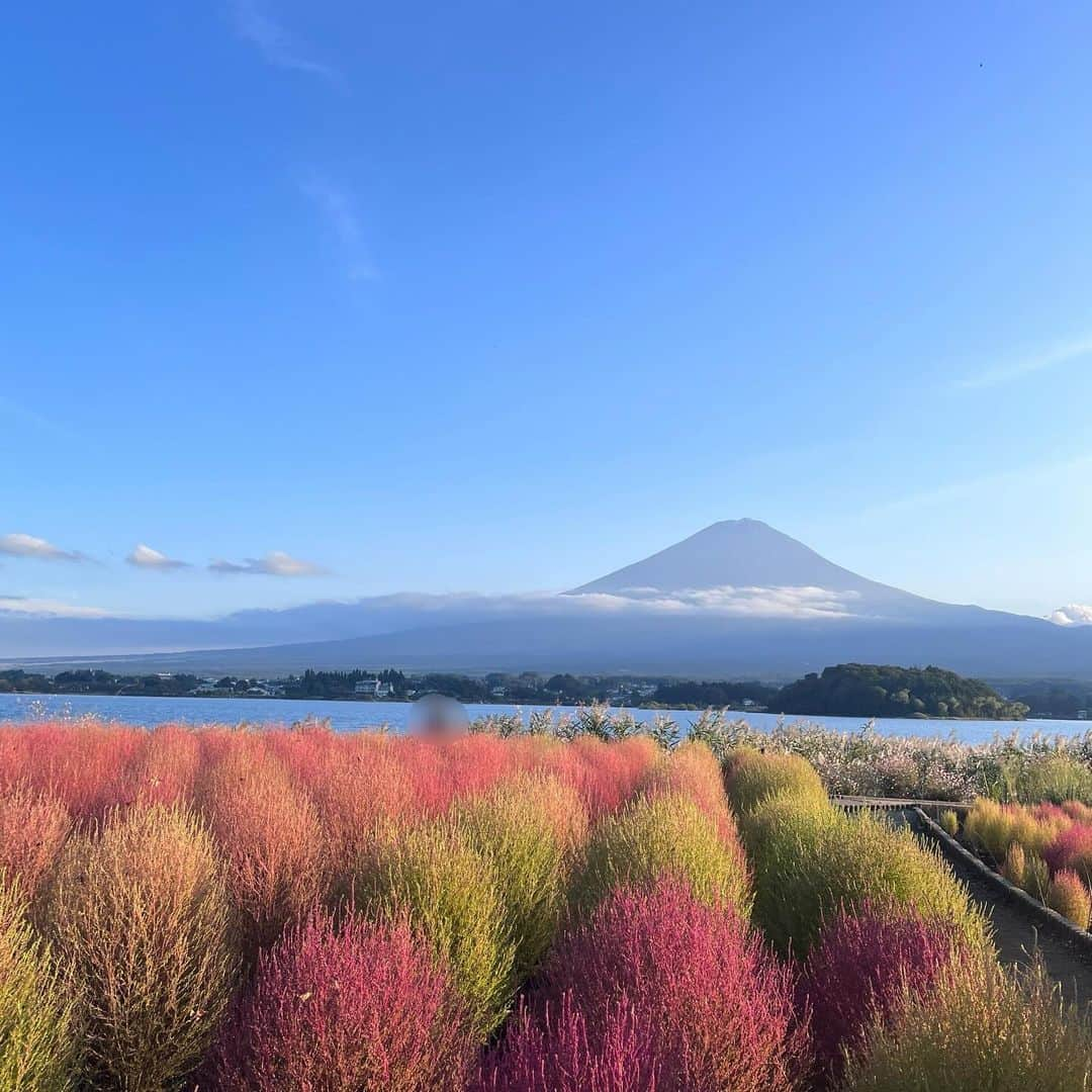 崎本紗衣さんのインスタグラム写真 - (崎本紗衣Instagram)「. #超無敵クラス 修学旅行スペシャル、ご覧いただいた皆様ありがとうございました!!! 楽しんでいただけましたか？  MCの御三方とあんな風に一緒にロケさせていただけるなんて本当に贅沢で、幸せでした。  余興大会では見事、ぽてちゃんと私の関西チームが勝利しました❤️‍🔥嬉しい、、 学生時代のような青春盛りだくさん、めちゃくちゃいい想い出です~~  気になる方はぜひ、TVerにて見逃し配信ございますのでチェックしてみてください＾＾　 珍しく歌ってるとこ見れます(小声 ・ #PR #崎本紗衣  #崎本紗衣崎本紗衣崎本紗衣 #スターダストプロモーション」11月5日 14時10分 - sakimotosae_