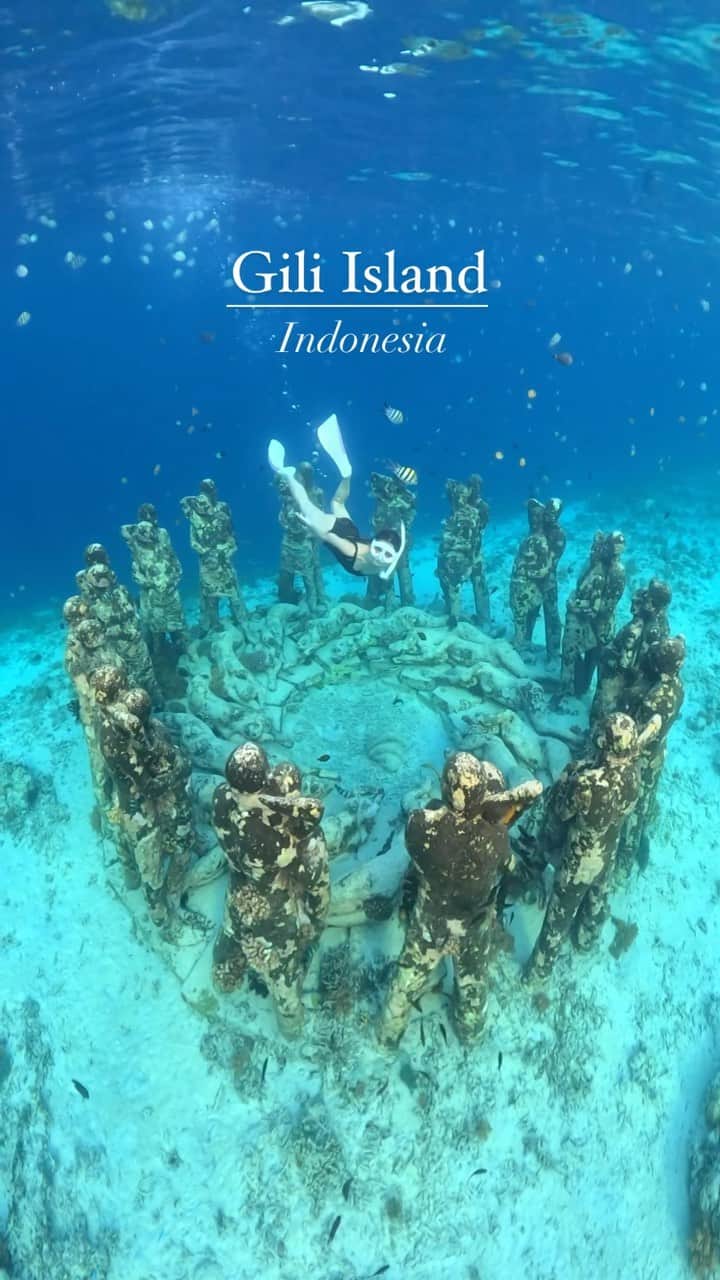 ももせゆきのインスタグラム：「It’s like a dream✨️ location📍Gili Island Gili meno 🇮🇩 数年ぶりにここで潜ってきた🐟🫧‪ 早起きして頑張ったから人混み回避できた！ 朝活最高だね✨️ ・ ・ 🏷 #GiliIsland #Gilimeno  #ギリメノ #ギリ島 #skindiving#diving#ダイビング  #シュノーケリング #Bali #バリ島#バリ島旅行 #Balitrip #Balitravel #Balidestination #Indonesiatravel #visitbali #explorebali  #reelvideo  #reelsinstagram  #リール動画 #travelreels」