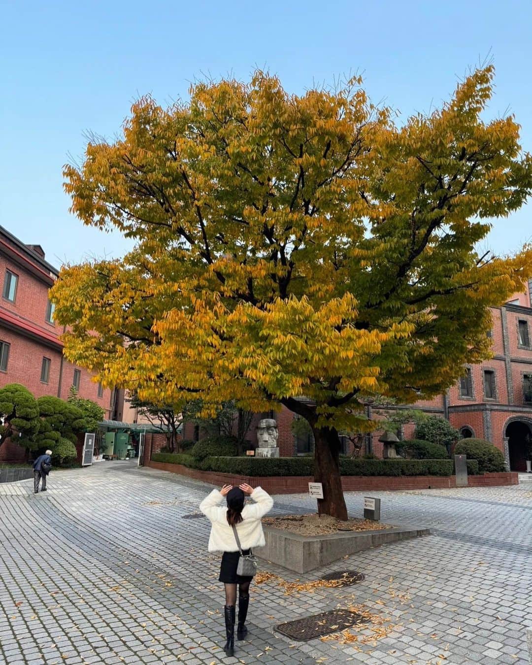 椿ここさんのインスタグラム写真 - (椿ここInstagram)「korea🇰🇷 part2  秋の景色とかお洋服とか好き🍂 これ以上季節は進まなくて良い🥶  #韓国カフェ #cafe」11月5日 14時32分 - coco.tsubaki