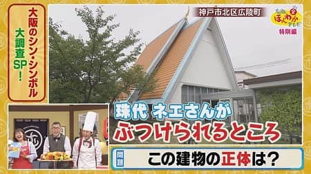 読売テレビ「大阪ほんわかテレビ」さんのインスタグラム写真 - (読売テレビ「大阪ほんわかテレビ」Instagram)「⭐︎ ／ 本日ごご３時〜🌼 ＼  ／ #大阪ほんわかテレビ ☺️  ✨特別編✨ ＼  知られざる！ 「大阪のシン・シンボル」を大調査🕵🏻‍♂️  🤔江坂駅近くの巨大な変な顔のオブジェ？ 🤔淀屋橋駅近くの川の上に立つお店？ 🤔西成区にある老舗うどん屋の看板を見ると…？  へー！ほー！だらけの１時間💡 まもなくです🎵  #間寛平 #桂南光 #月亭方正 #すっちー #ロザン #ノンスタイル #渋谷凪咲 #天才ピアニスト」11月5日 14時37分 - honwakaytv